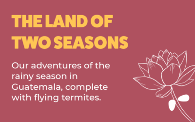 The Land of Two Seasons