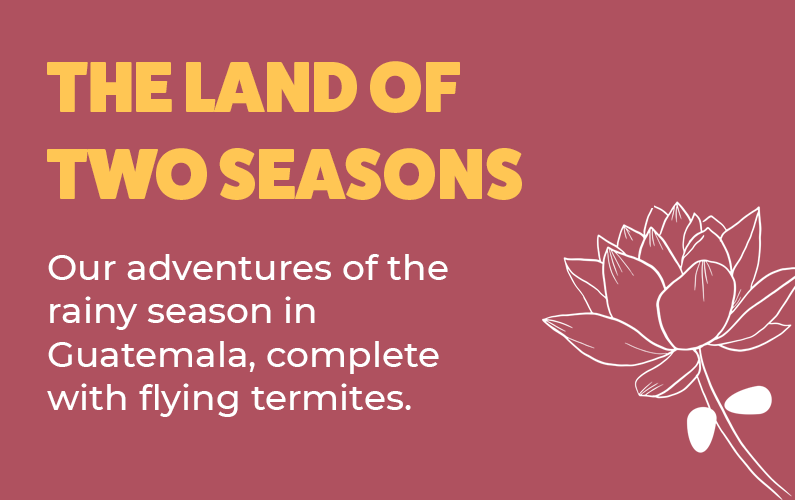 The Land of Two Seasons